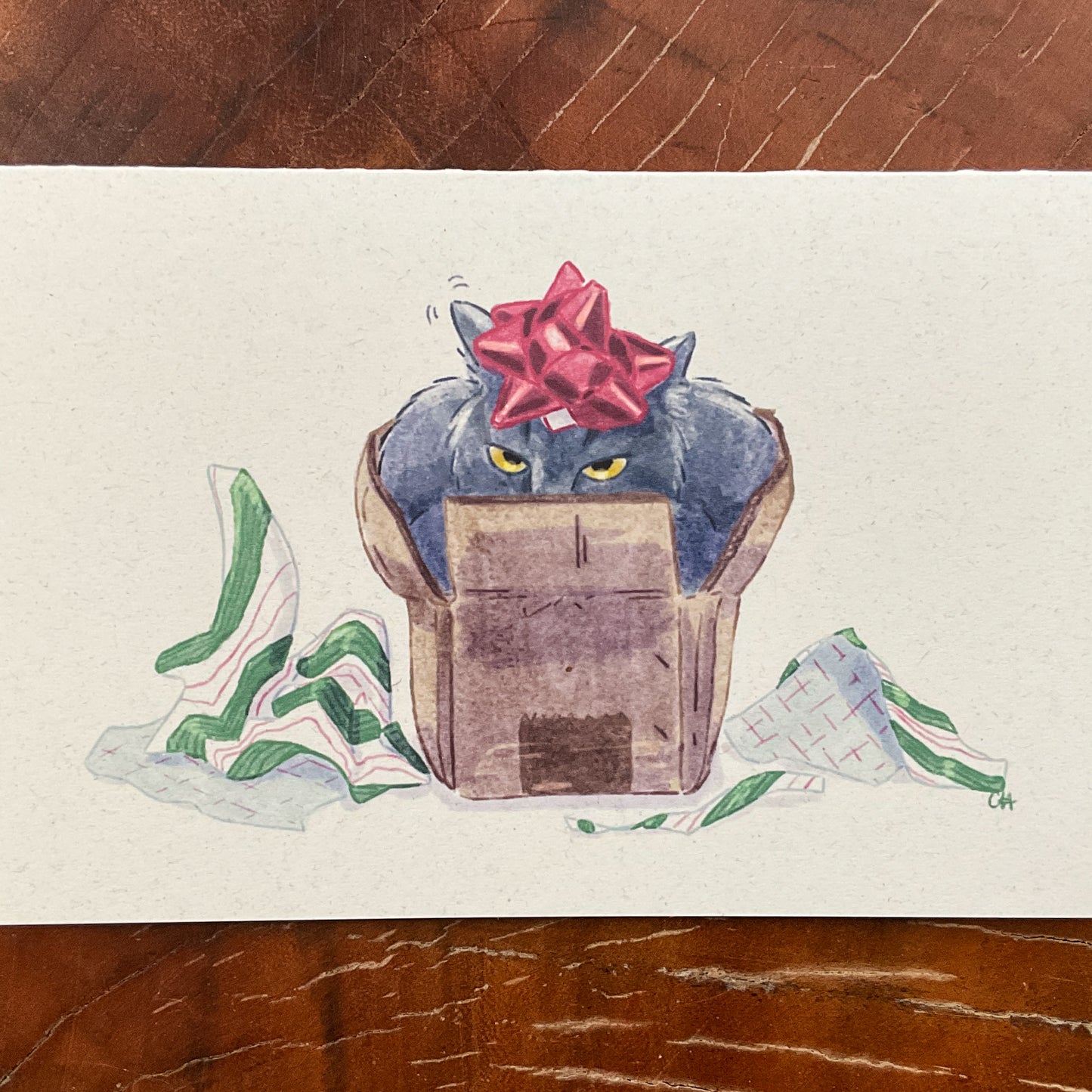 Holiday Cat-in-the-Box Greeting Card