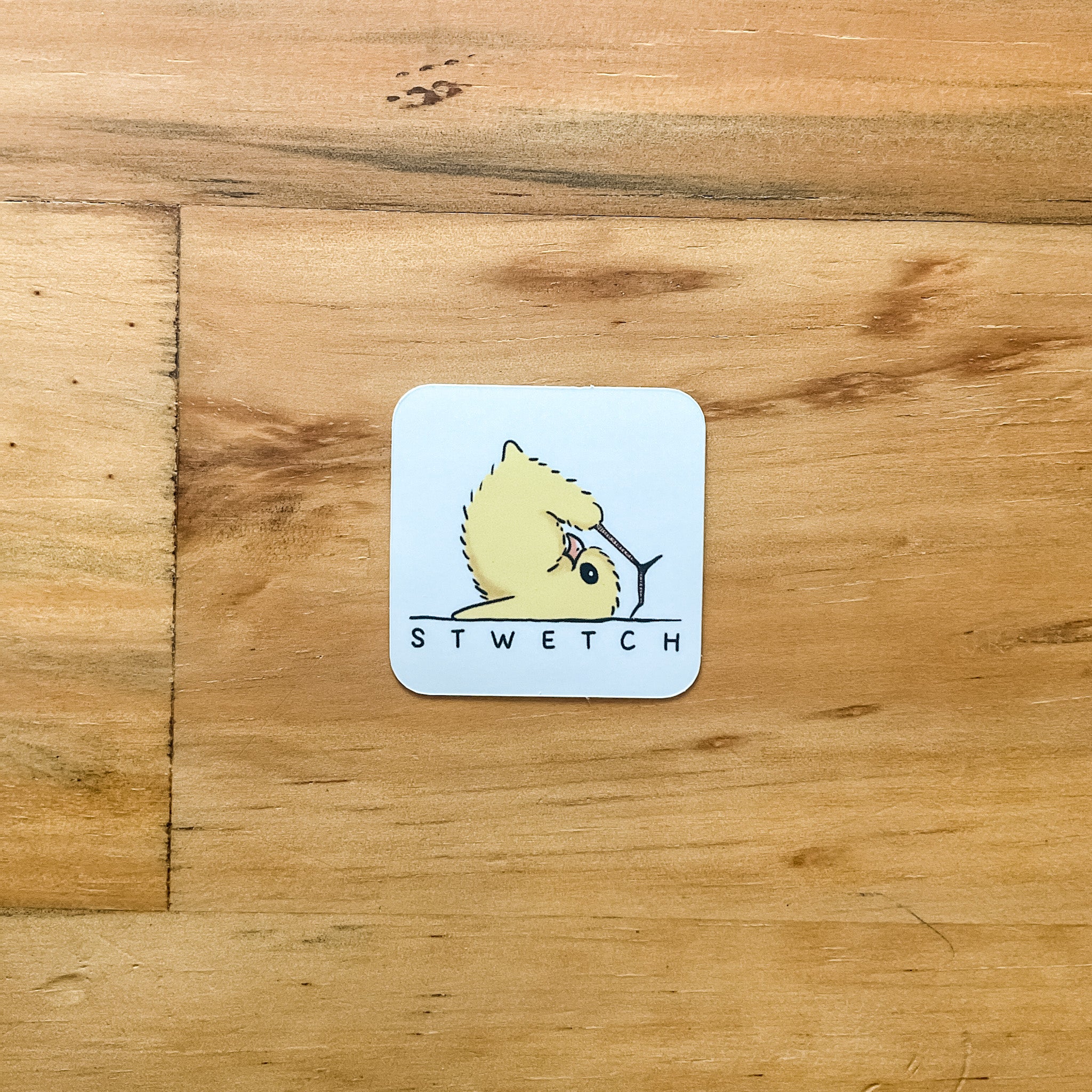 Swecth Sticker STWETCH Sticker – DoodledByCarrie