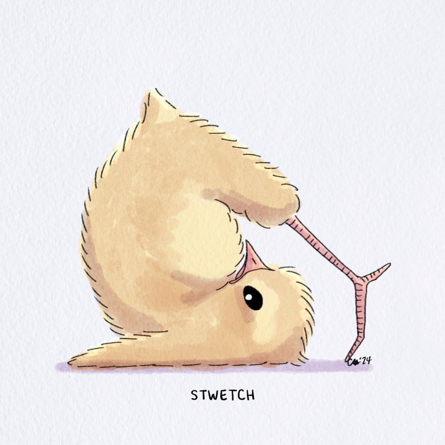 Lil Chicky Stwetch Print