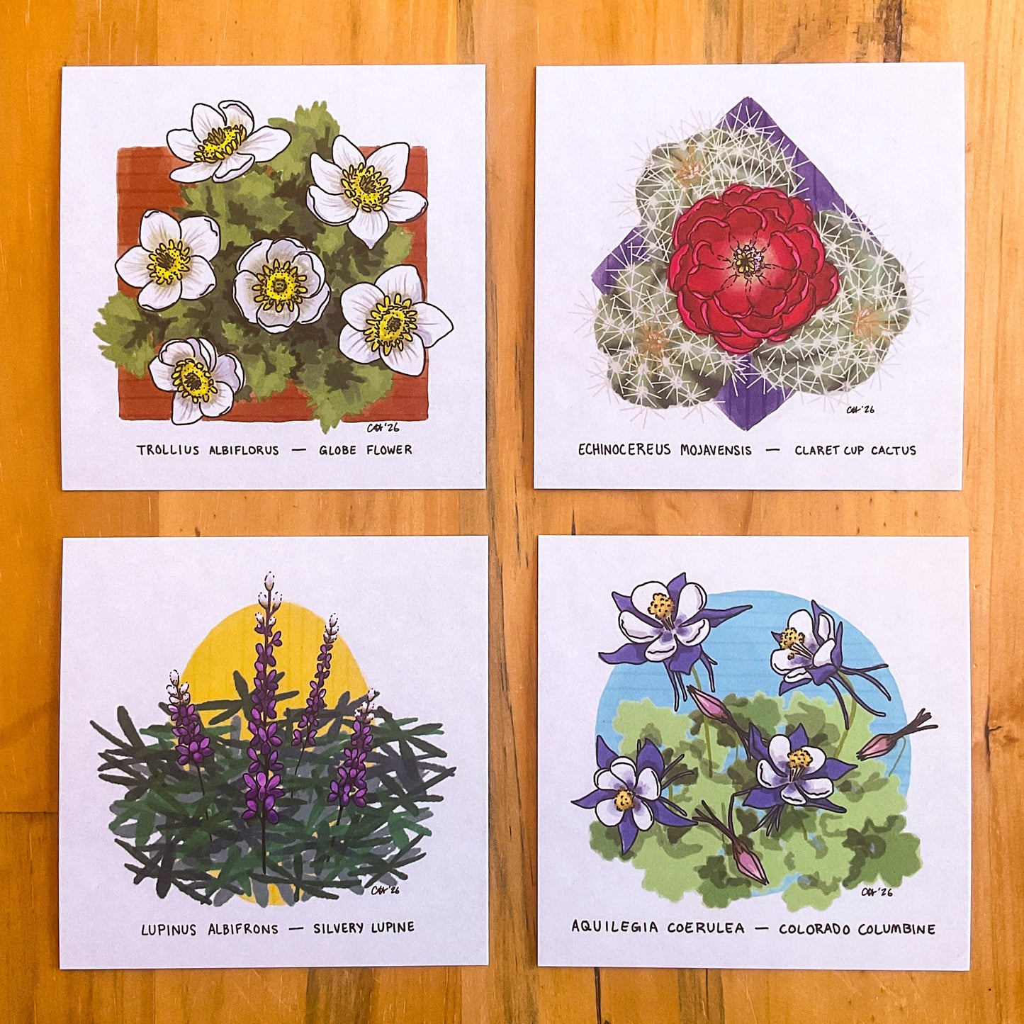 Colorado Flora Doodlegram Pack