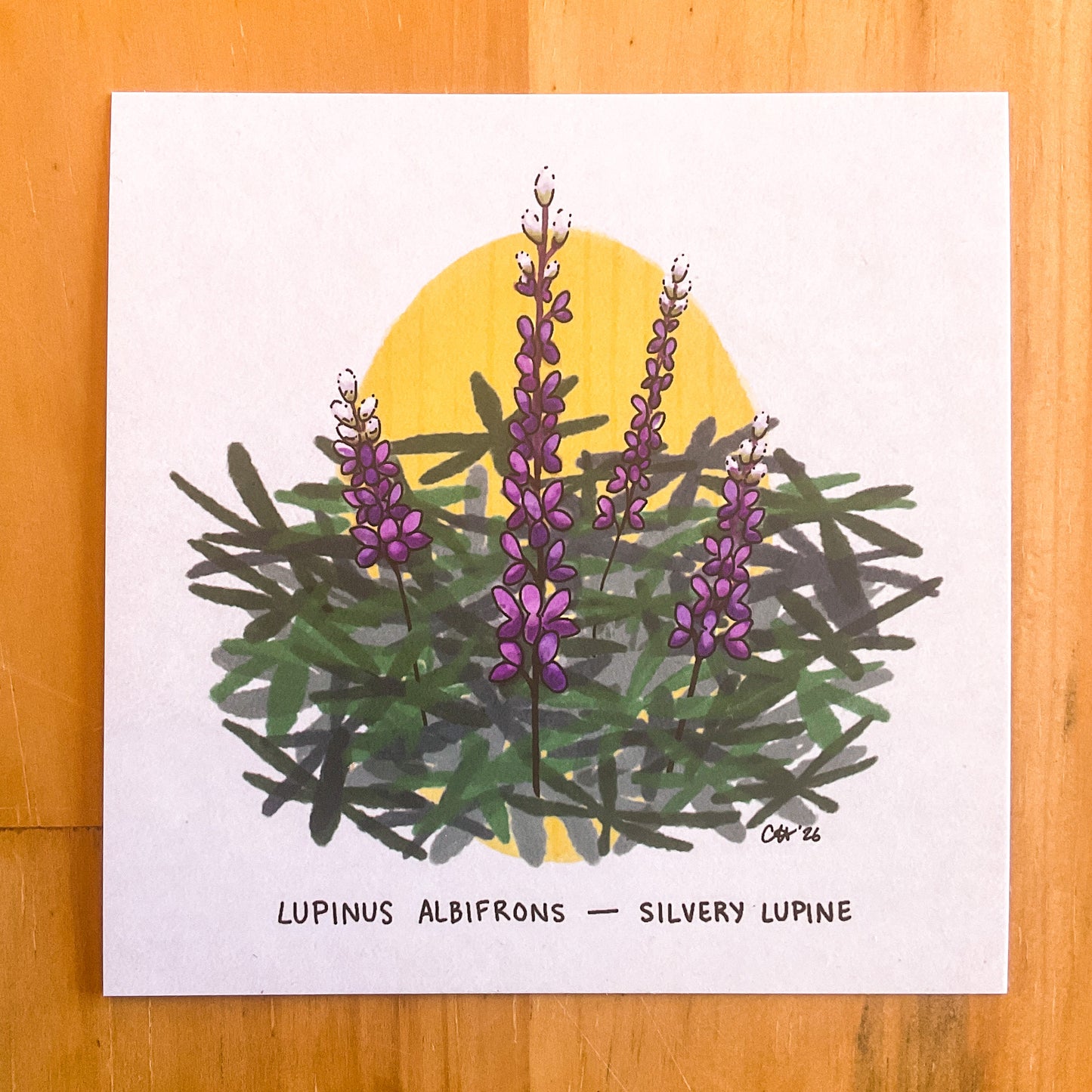 Colorado Flora Doodlegram Pack