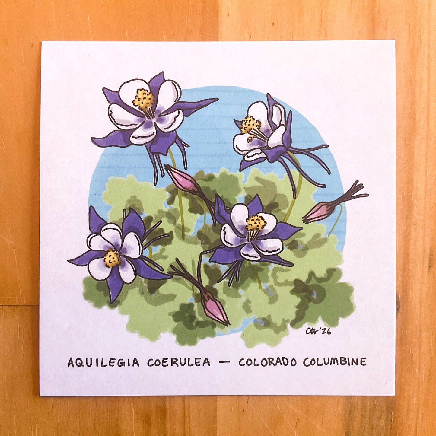Colorado Flora Doodlegram Pack