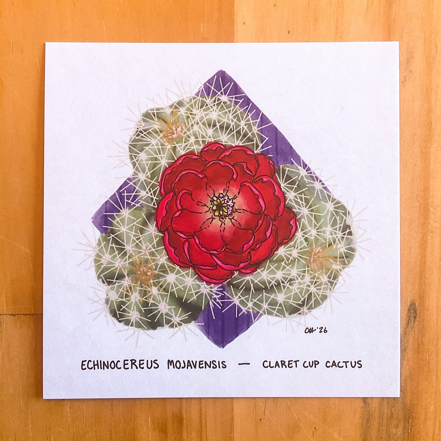 Colorado Flora Doodlegram Pack