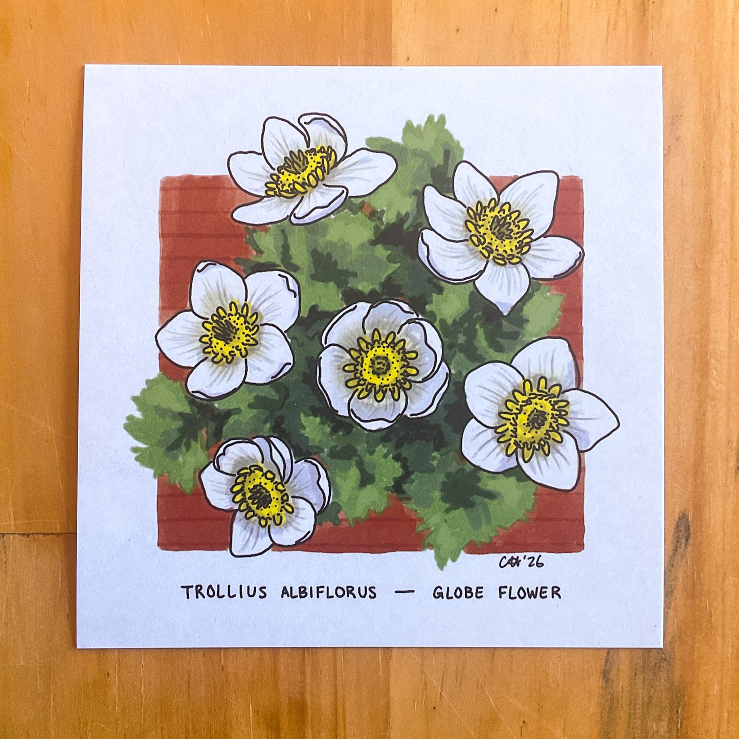Colorado Flora Doodlegram Pack