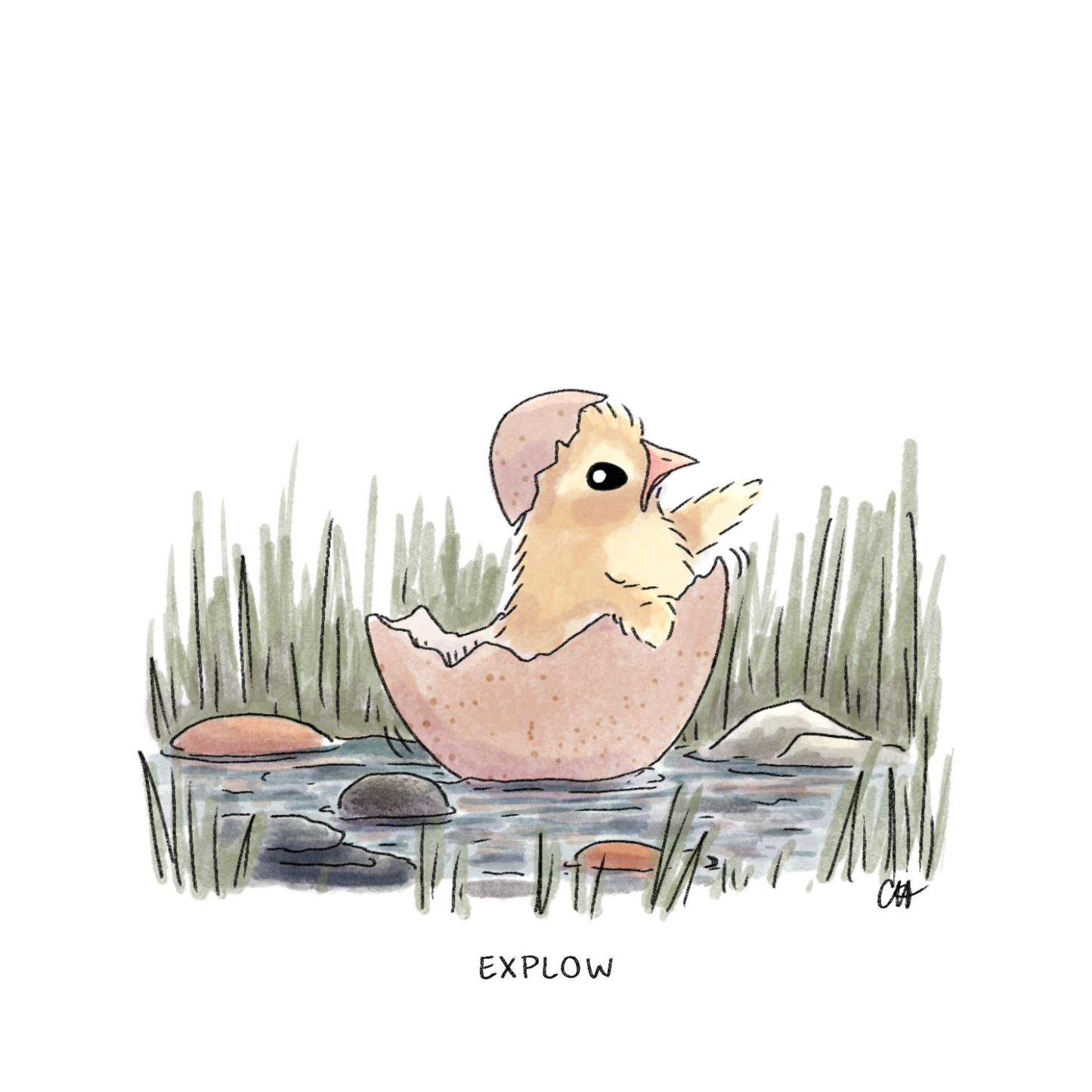 Lil Chicky Explow Print