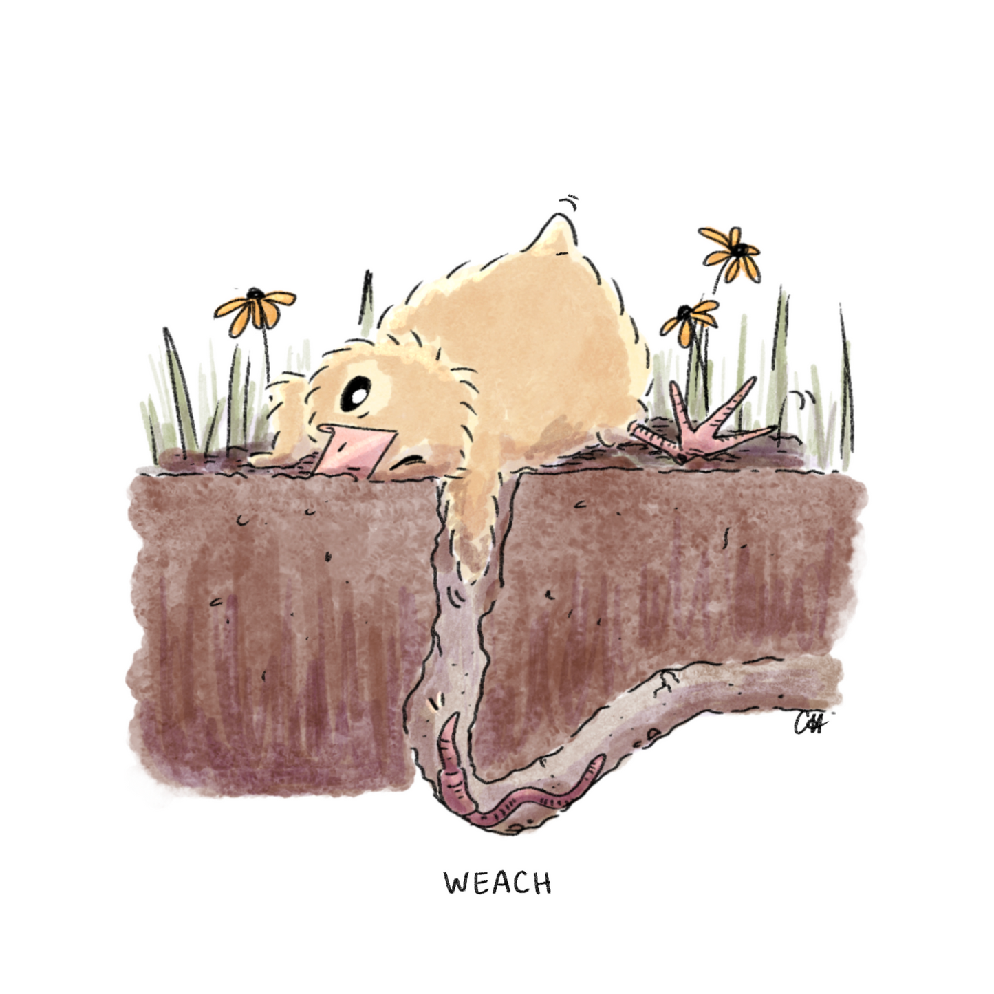 Lil Chicky Weach Print
