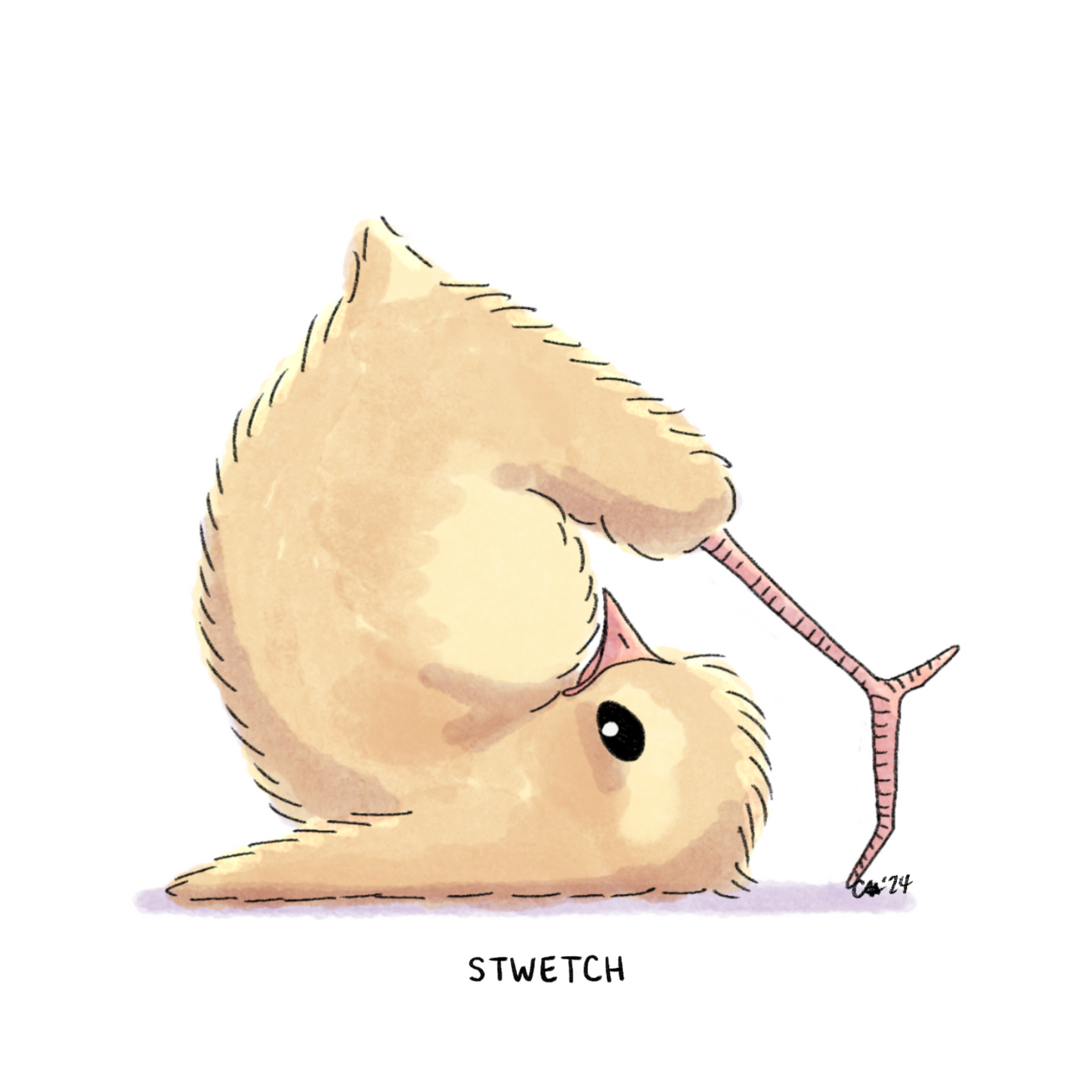 Lil Chicky Stwetch Print